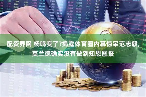 配资界网 杨鸣变了?揭露体育圈内幕惊呆范志毅,莫兰德确实没有做到知恩图报