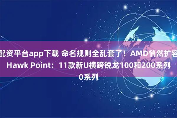 配资平台app下载 命名规则全乱套了！AMD悄然扩容Hawk Point：11款新U横跨锐龙100和200系列